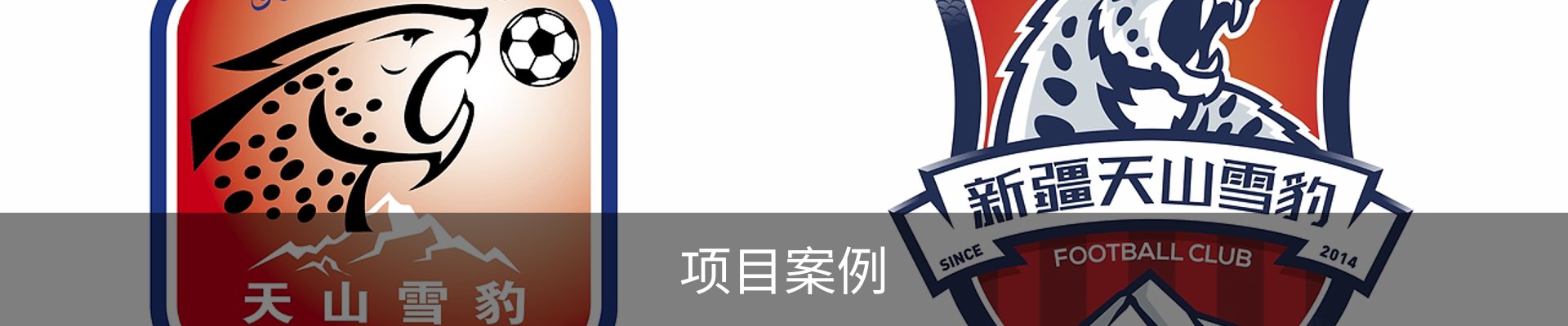 项目案例